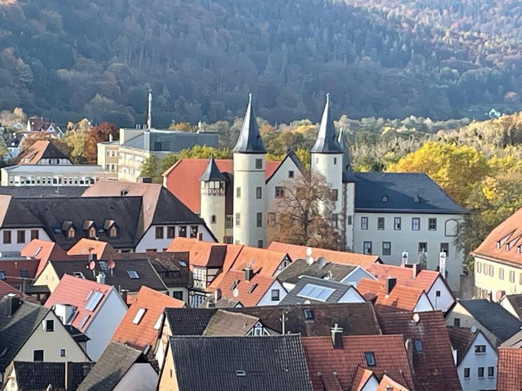 LohrWohnen Im Springerhof公寓 外观 照片