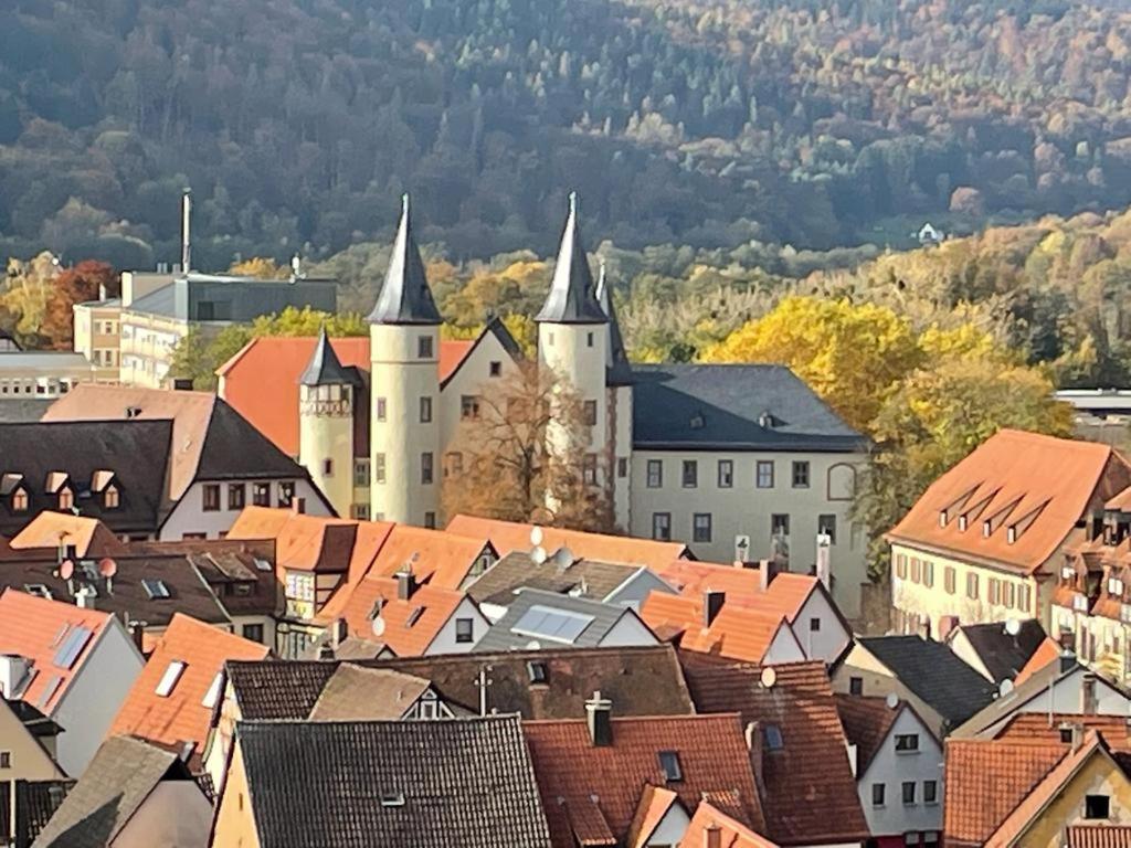 LohrWohnen Im Springerhof公寓 外观 照片