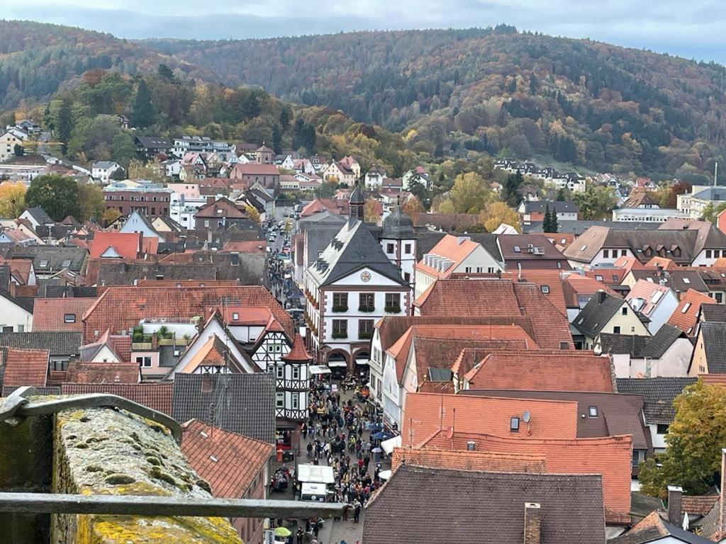 LohrWohnen Im Springerhof公寓 外观 照片